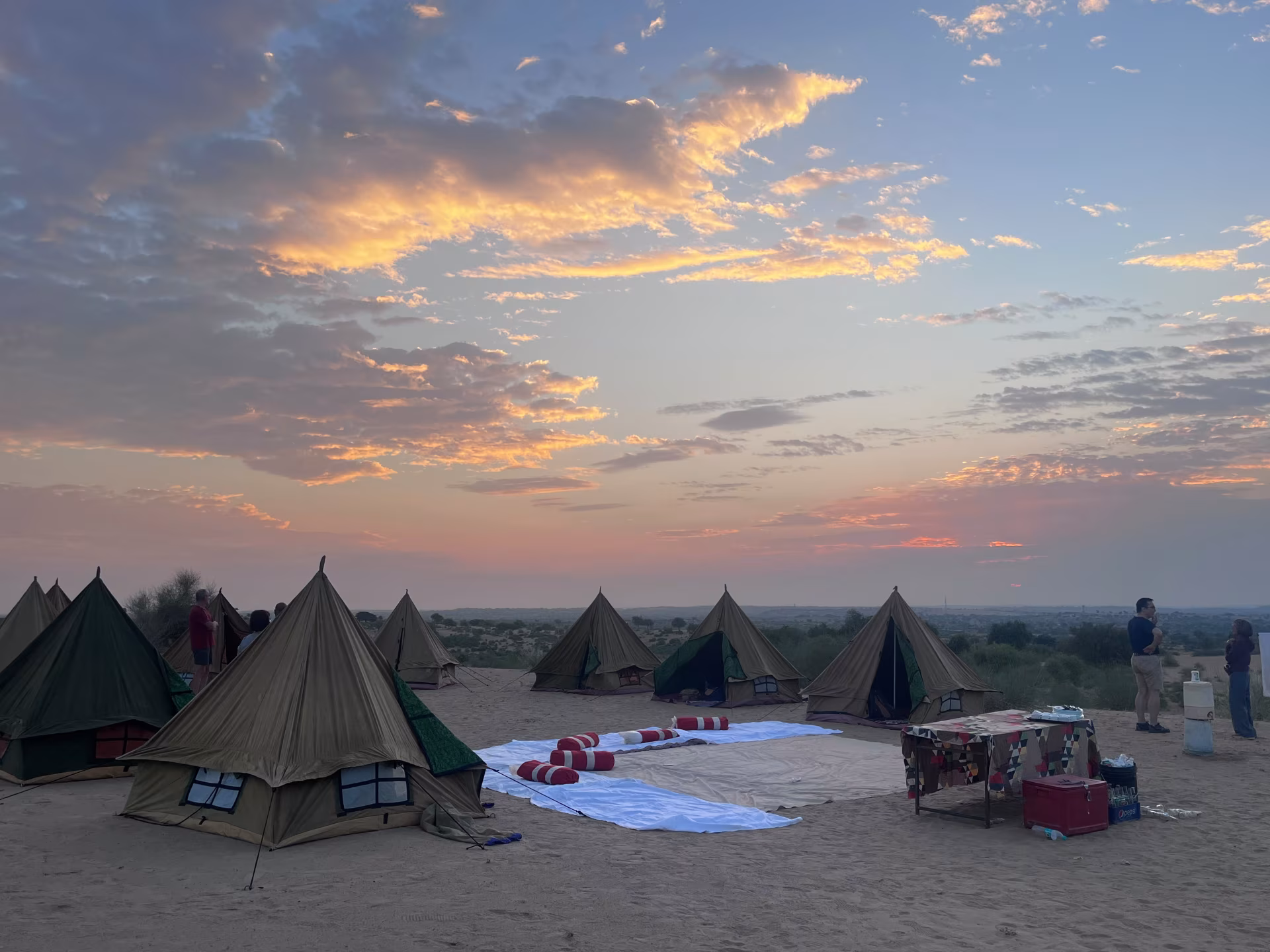 Desert Sky Tours photo