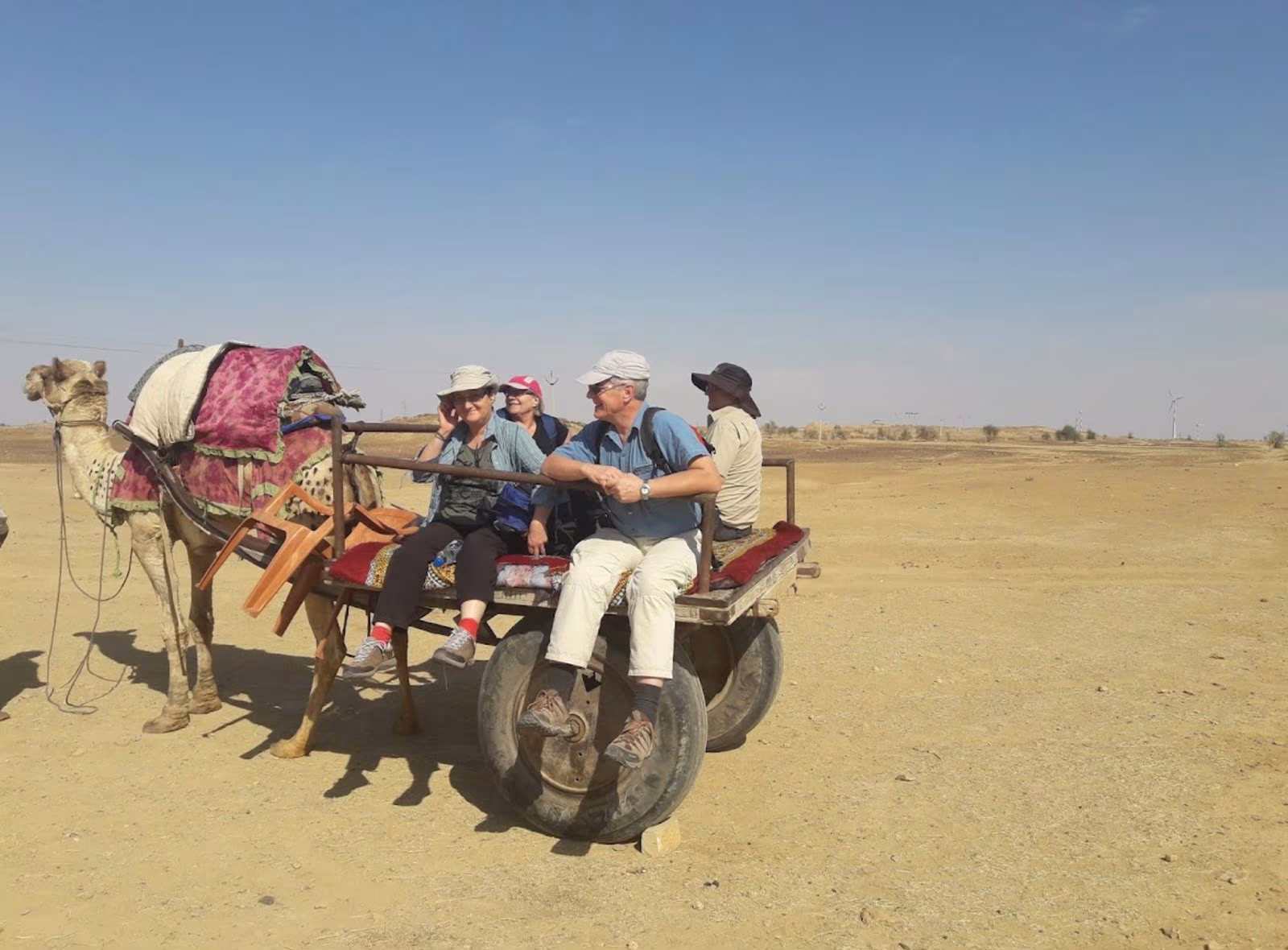 Desert Sky Tours photo