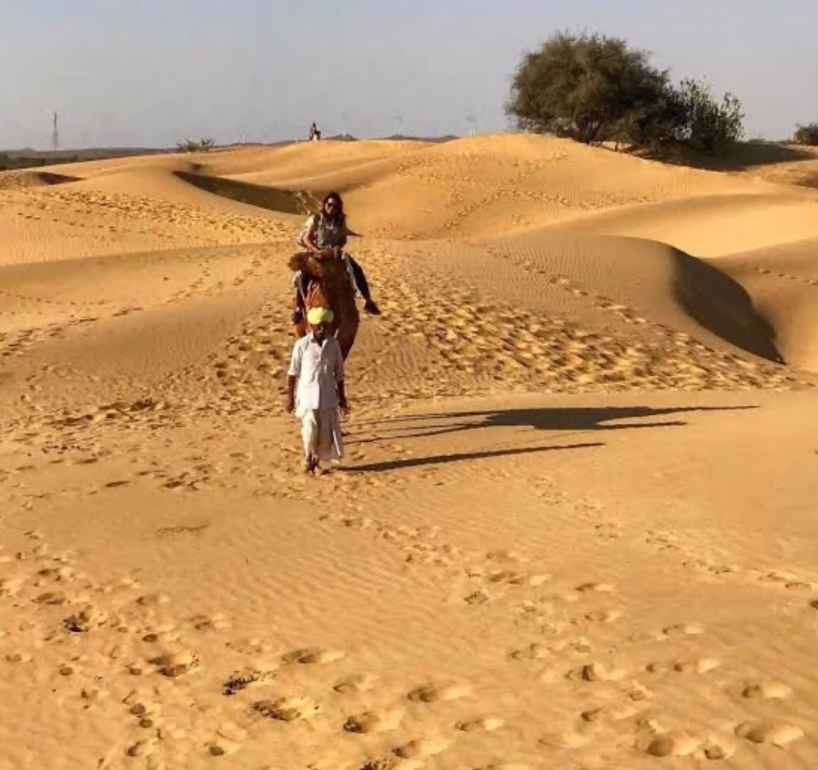 Desert Sky Tours photo