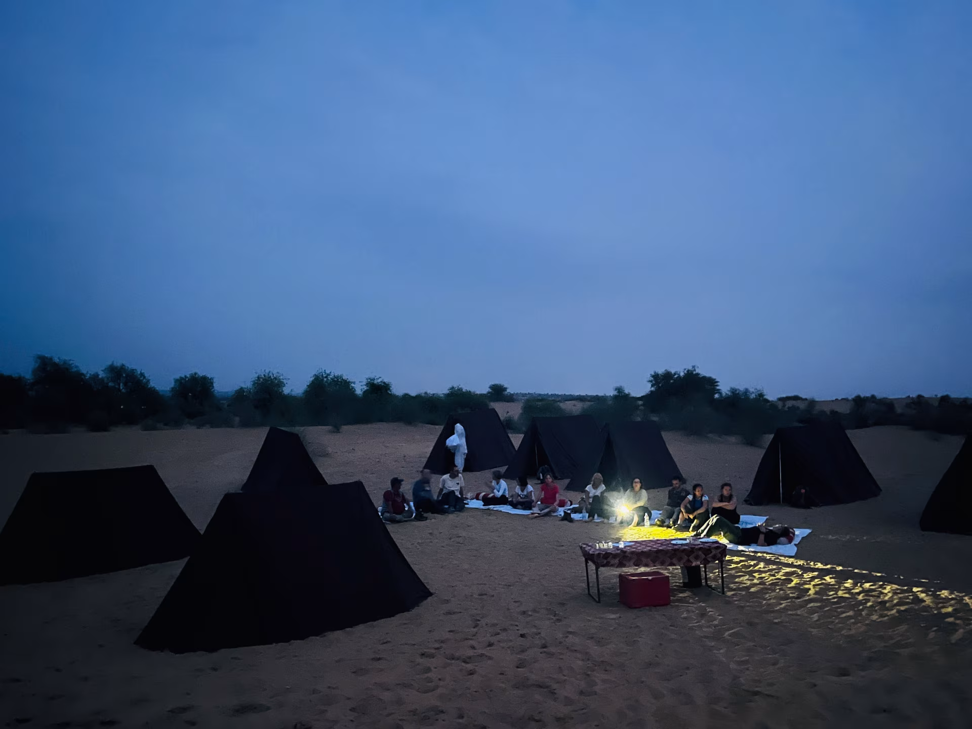 Desert Sky Tours photo